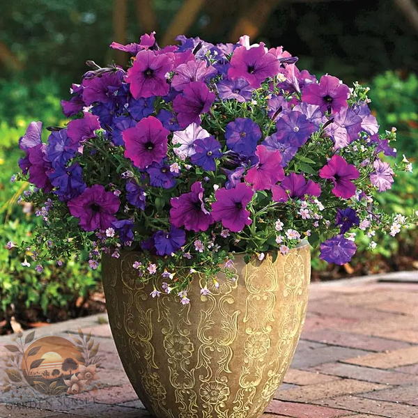 Petunia Fuseables® Healing Waters